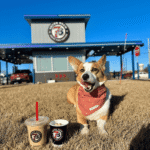 7 Brew Pup Cup Menu